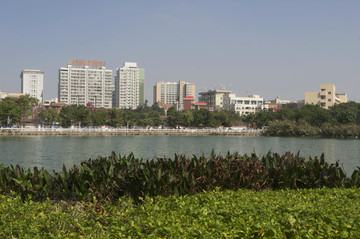 晋江城市风景