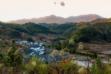 东水山村