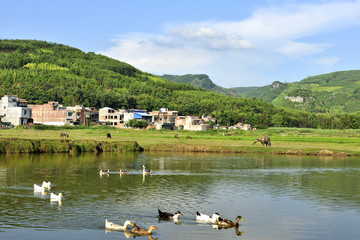 乡村田园风景