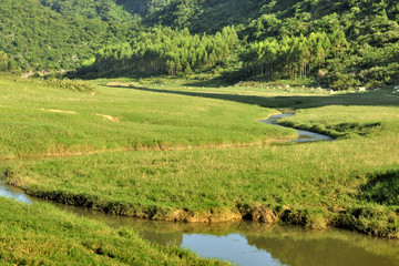 原野湿地