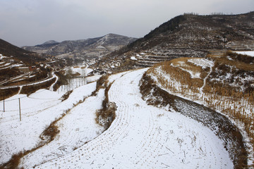 雪后的田野