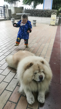 小孩与宠物狗