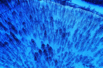 蓝色树林雪景 航拍