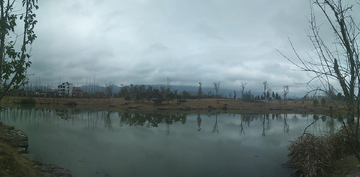神农园湖畔风光全景图