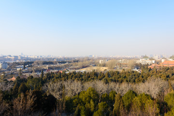 北京故宫 （42）