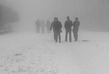 雾雪里的背影