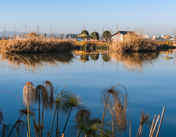 沿江水岸人家