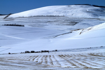 农田雪景