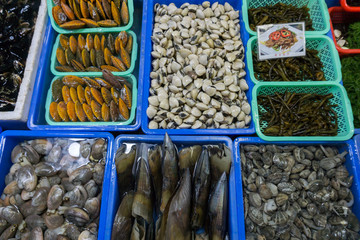 贝壳 海鲜 新鲜的 市场 花螺