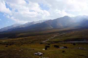 青海海南州拉鸡山高原草原风光