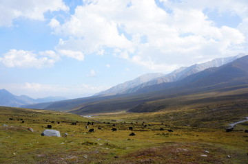 青海海南州拉鸡山高原草原风光