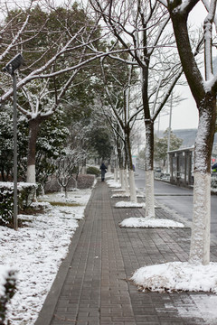 雪景