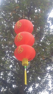 圆灯笼
