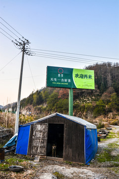 养蜂板房