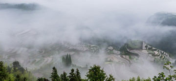 小舟山梯田