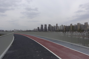 建设中的浦东滨江岸线