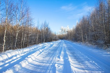 冬季森林积雪道路