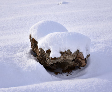 覆雪 石头