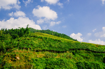 山岭风光