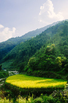 山岭风光