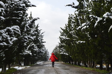 雪后树林小道上的红衣女孩