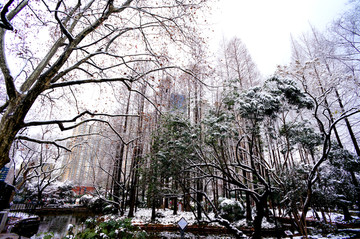 雪天上海中山公园