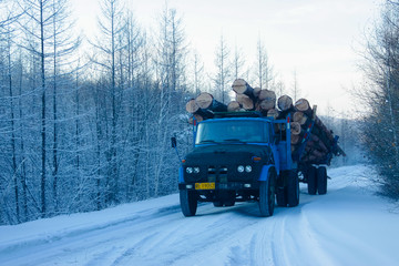 冬季拉木材的汽车
