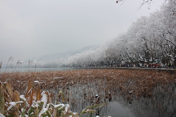 西湖雪景