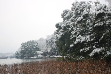 西湖雪景