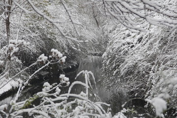 雪景