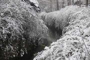 雪景
