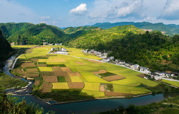 田园风光