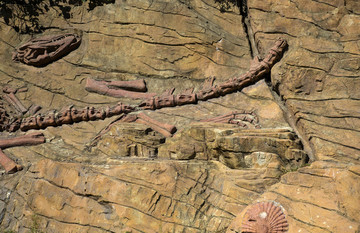 恐龙化石浮雕1