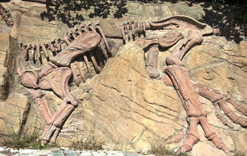 恐龙化石浮雕3