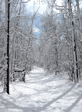 冰天雪地