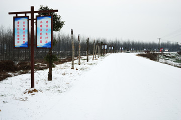 江南雪景