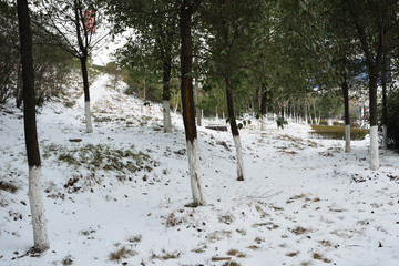 江南雪景