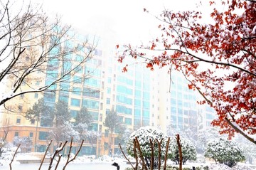 小区雪景