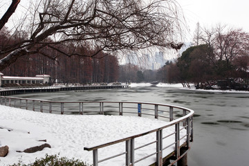 雪 解放公园