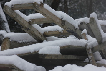 南方的雪