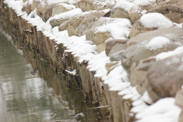 南方的雪