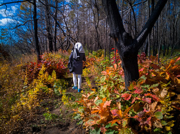 秋季彩林女人背影