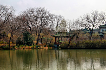 瘦西湖 扬州风景 江南园林