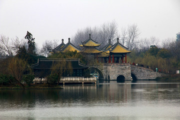 瘦西湖 扬州风景 江南园林