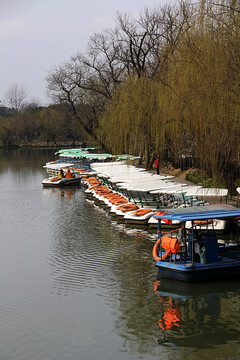 瘦西湖 扬州风景 江南园林