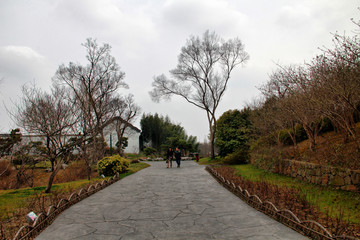 瘦西湖 扬州风景 江南园林