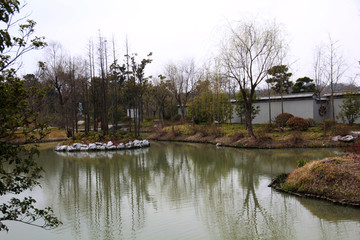 瘦西湖 扬州风景 江南园林