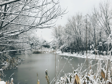 西溪湿地雪景