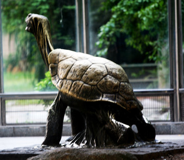 象龟雕塑 铜雕乌龟
