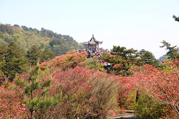 麻城龟山风光